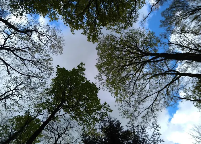 Le Domaine Des Vieilles Rues *